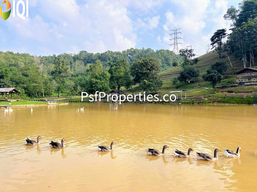 Bukit Jelutong image