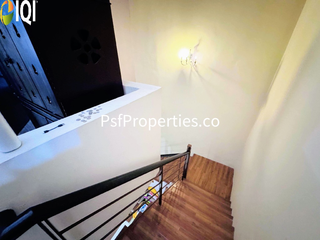 Alstonia @ Denai Alam U16 image