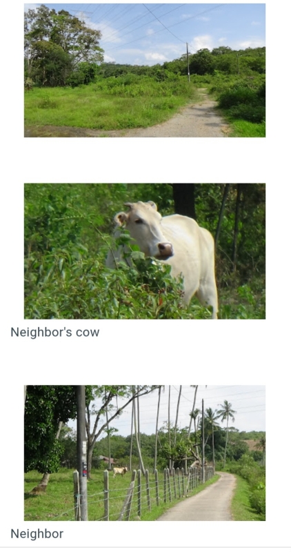 Vacant Agricultural Land image