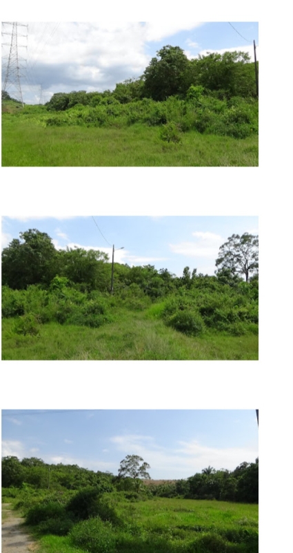 Vacant Agricultural Land image