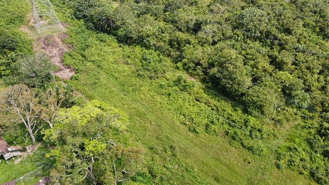 Vacant Agricultural Land image