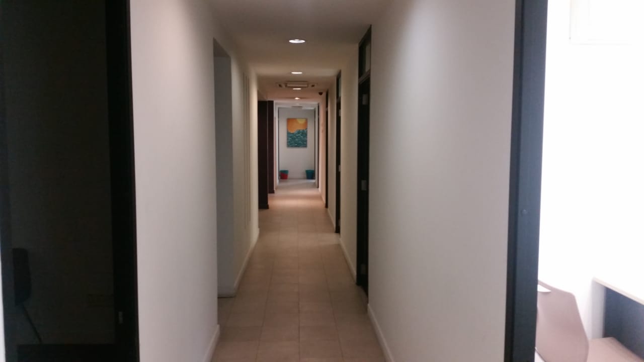 Megan Avenue 1 image