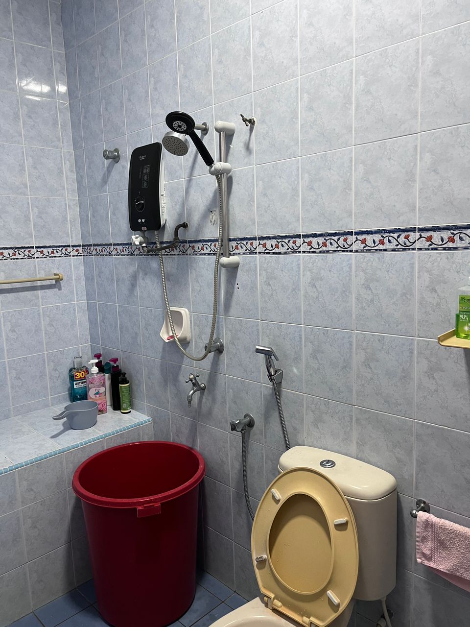 Bandar Mahkota Cheras image