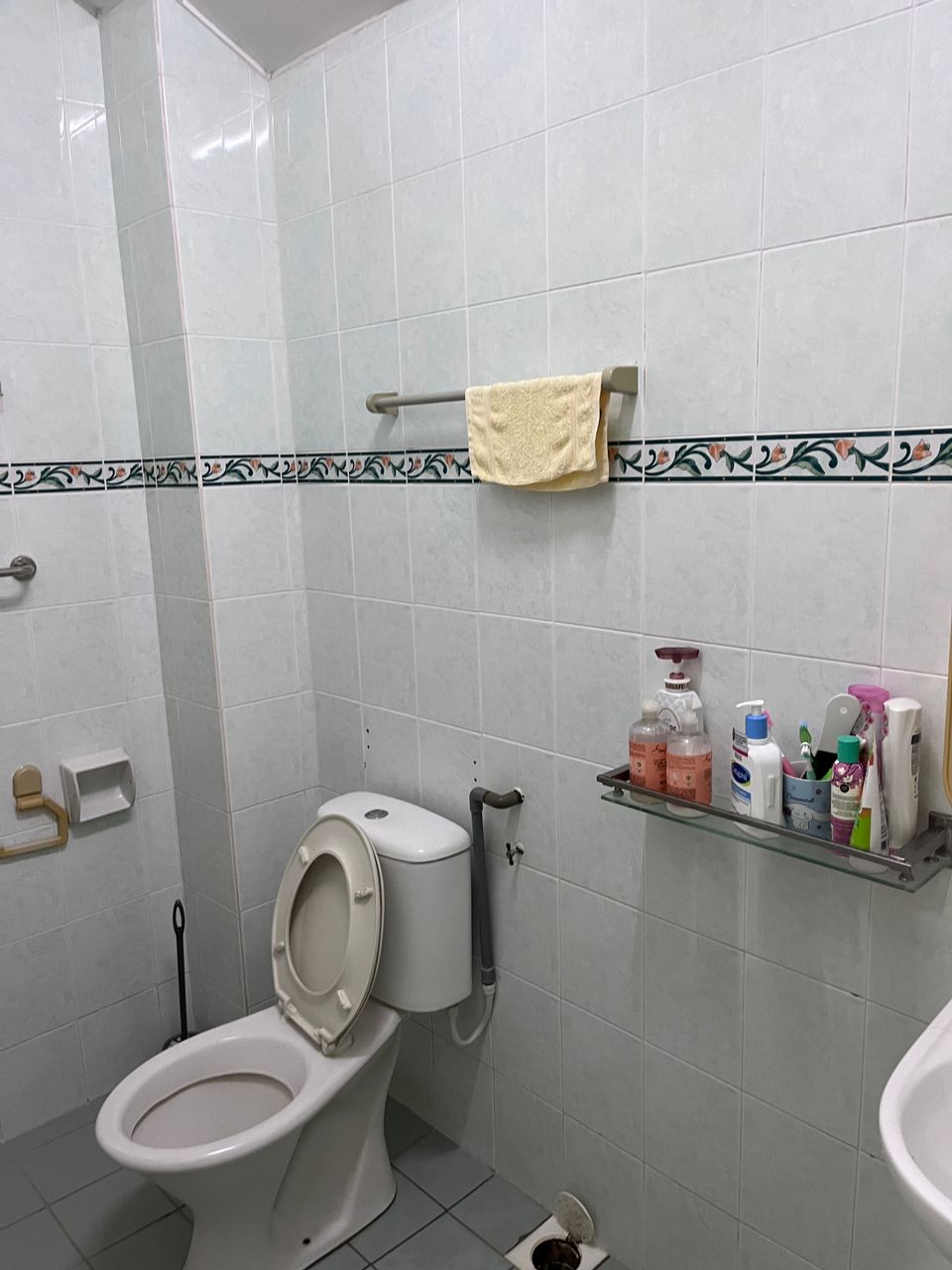 Bandar Mahkota Cheras image