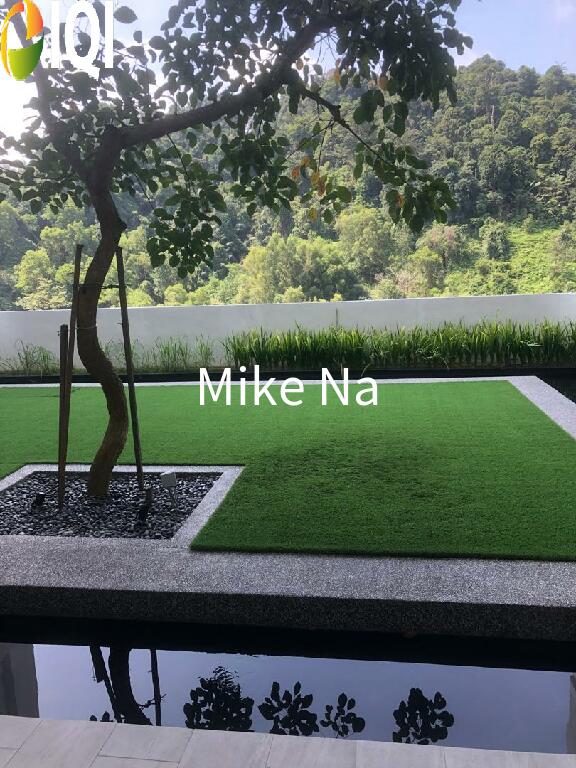 The Mark Cheras image