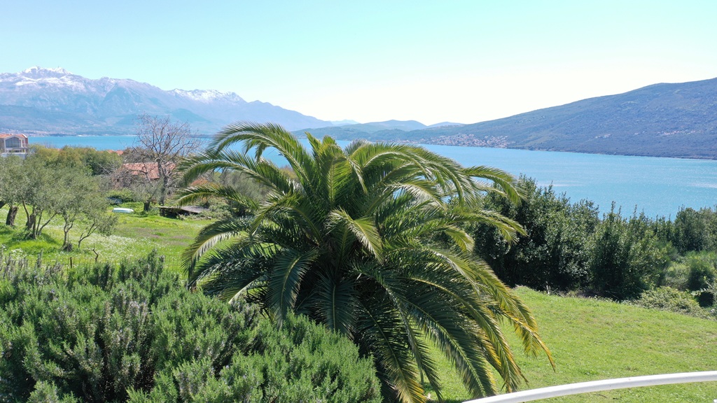 Charming Family House with Pool, Green Yard & Stunning Sea Views image