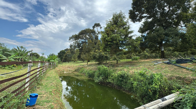 Labis 5 acres Durian Orchard Farm image