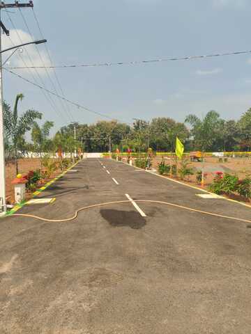 JABAMALAI AVENUE image