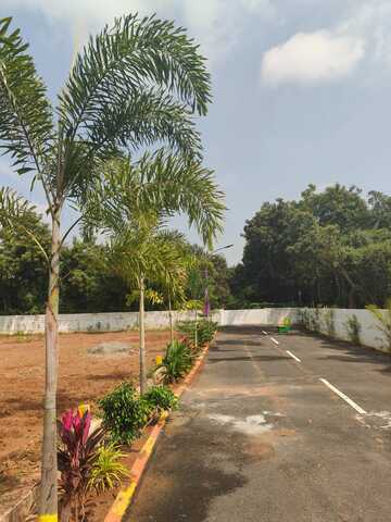 JABAMALAI AVENUE image