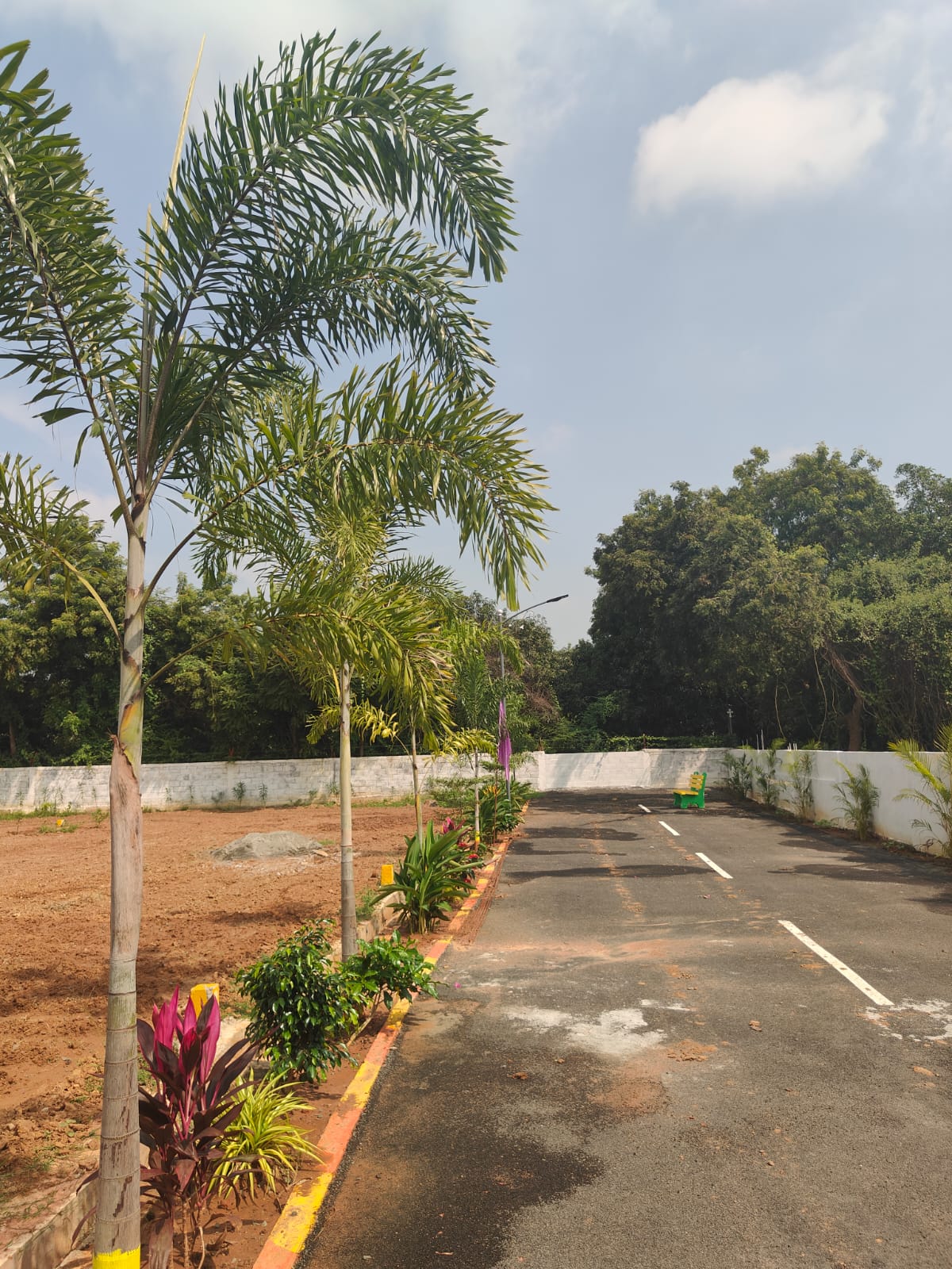 JABAMALAI AVENUE image