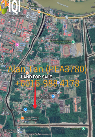 Pekan, Ketapang image