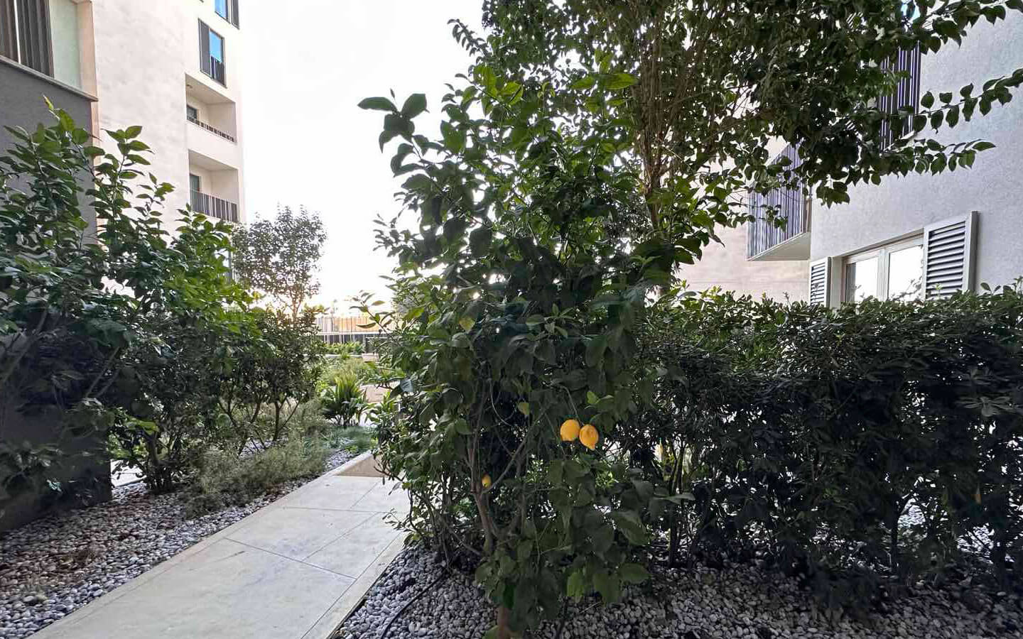 Exclusive studio apartment for sale in the prestigious Porto Montenegro marina village image