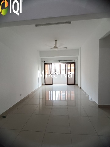 Evergreen Park Acorn and Hazel image