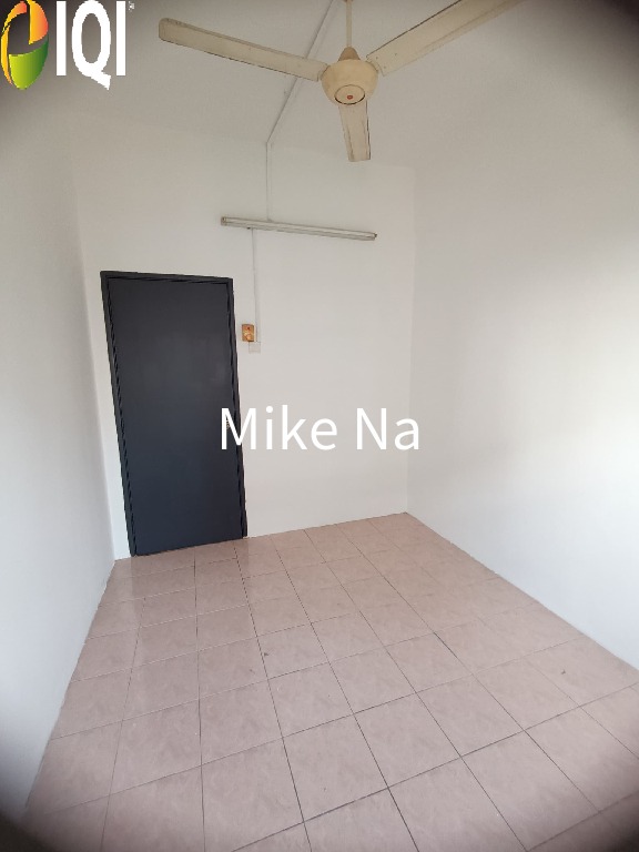 Evergreen Park Acorn and Hazel image