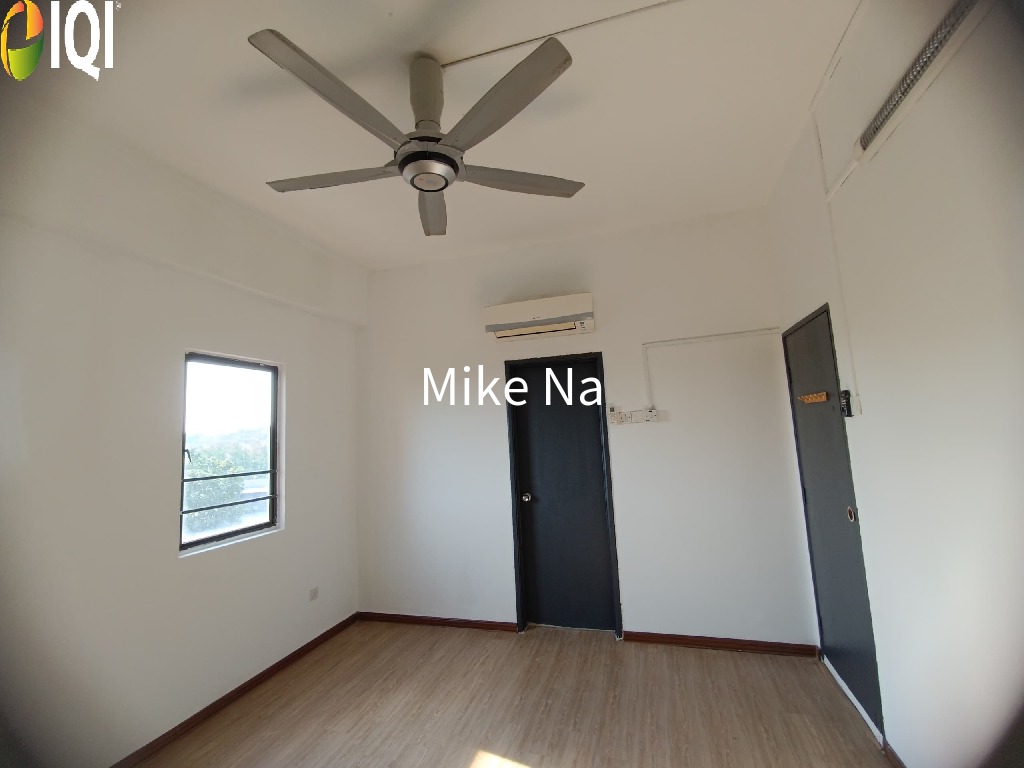 Evergreen Park Acorn and Hazel image