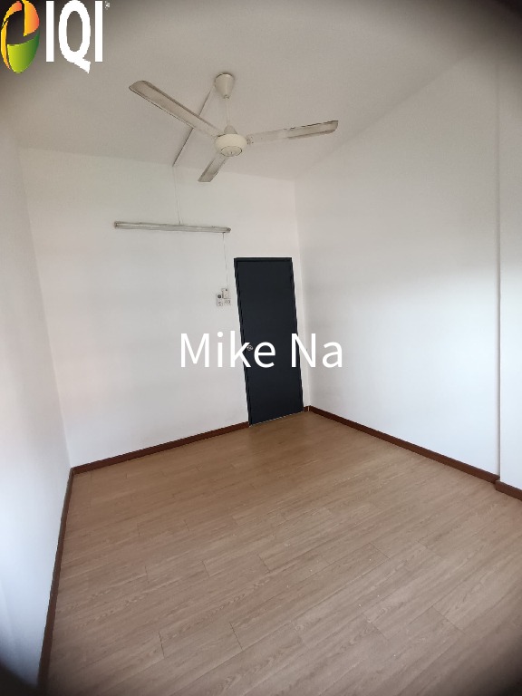 Evergreen Park Acorn and Hazel image