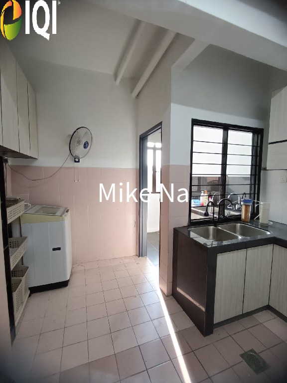 Evergreen Park Acorn and Hazel image