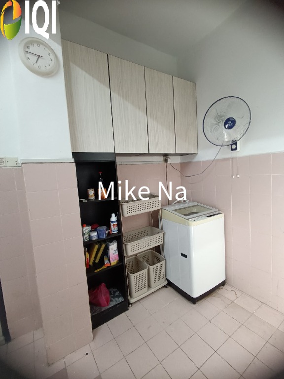 Evergreen Park Acorn and Hazel image