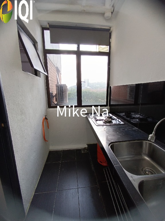 Evergreen Park Acorn and Hazel image