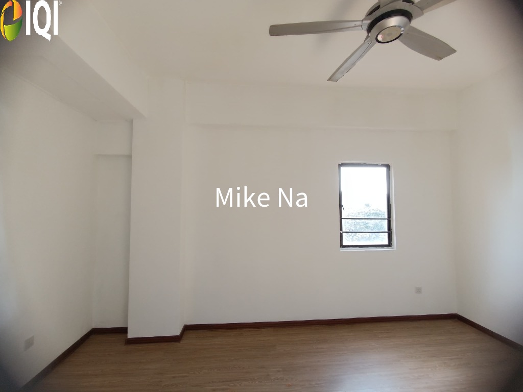 Evergreen Park Acorn and Hazel image