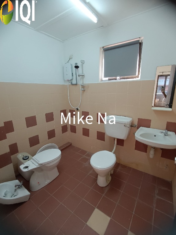 Evergreen Park Acorn and Hazel image