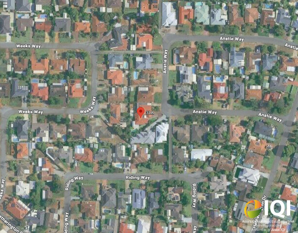 Opportunity Knocks in Blue-Chip Bull Creek photo