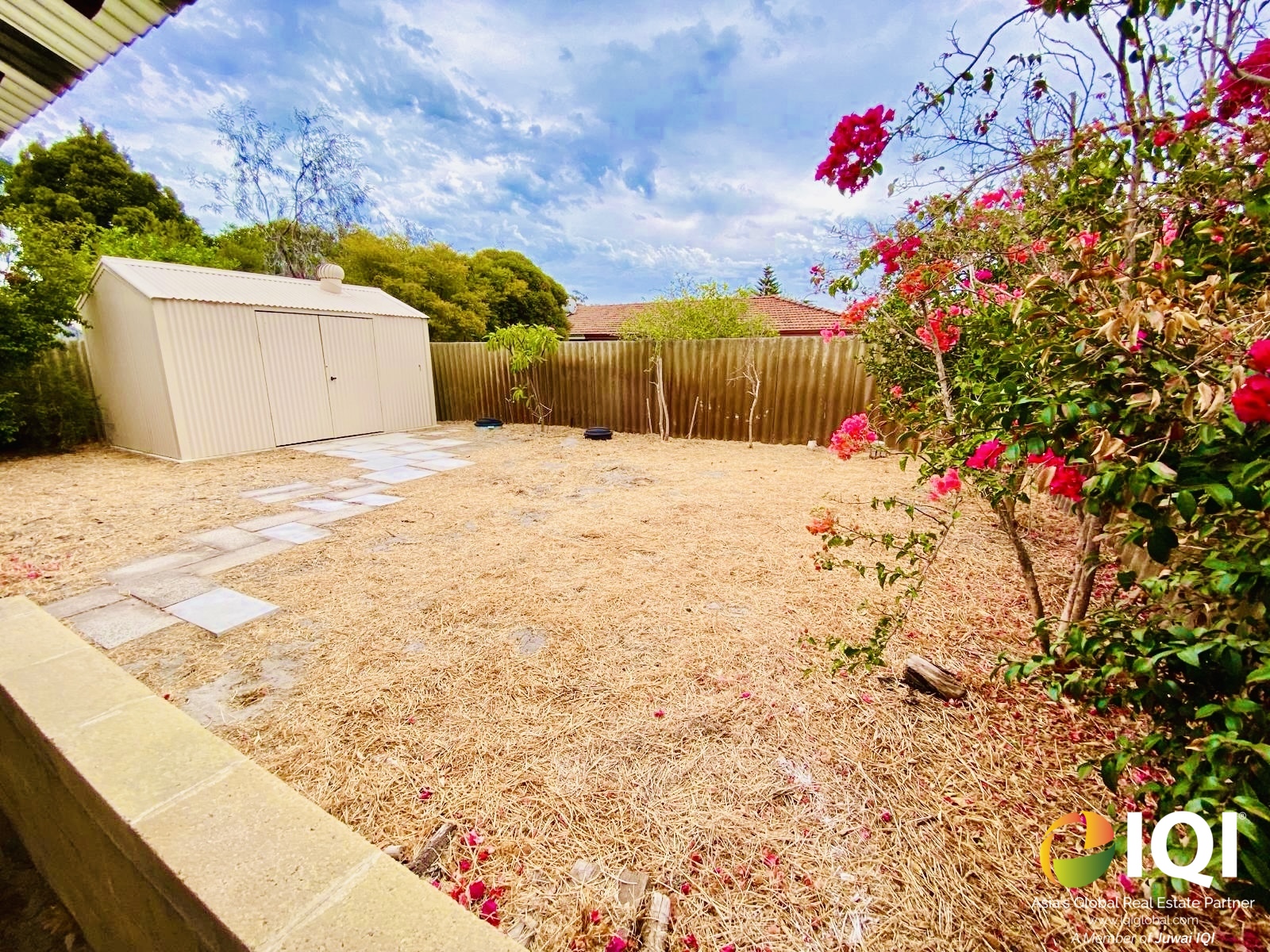 Opportunity Knocks in Blue-Chip Bull Creek image