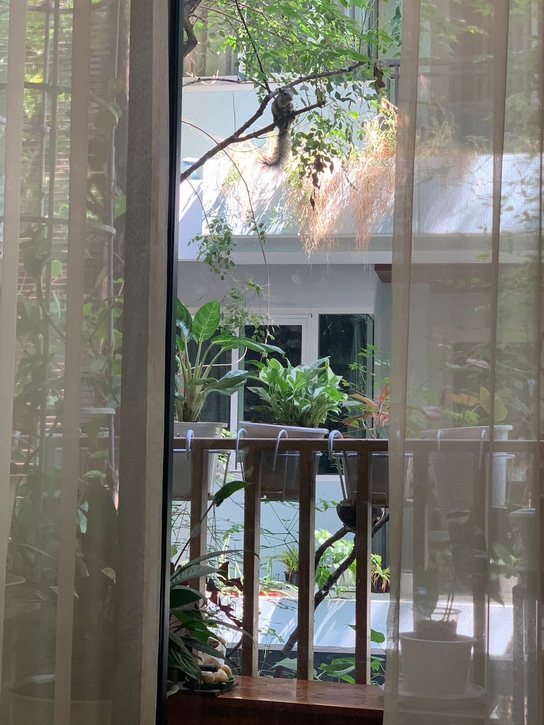 For Rent Quintara Arte Sukhumvit 52 image