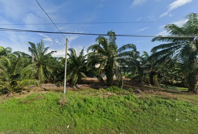 Bagan Tengkorak, Tanjong Karang image