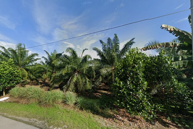 Bagan Tengkorak, Tanjong Karang image