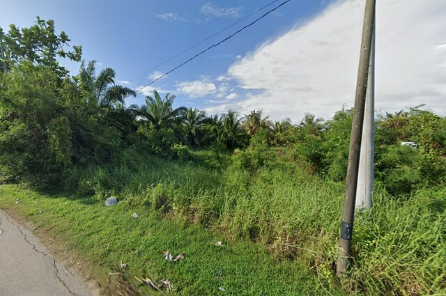 Bagan Tengkorak, Tanjong Karang image