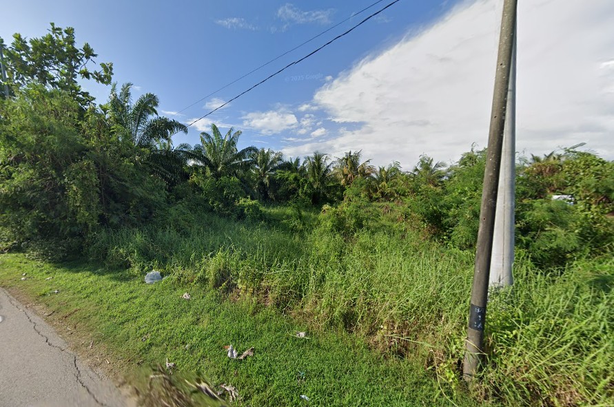 Bagan Tengkorak, Tanjong Karang image