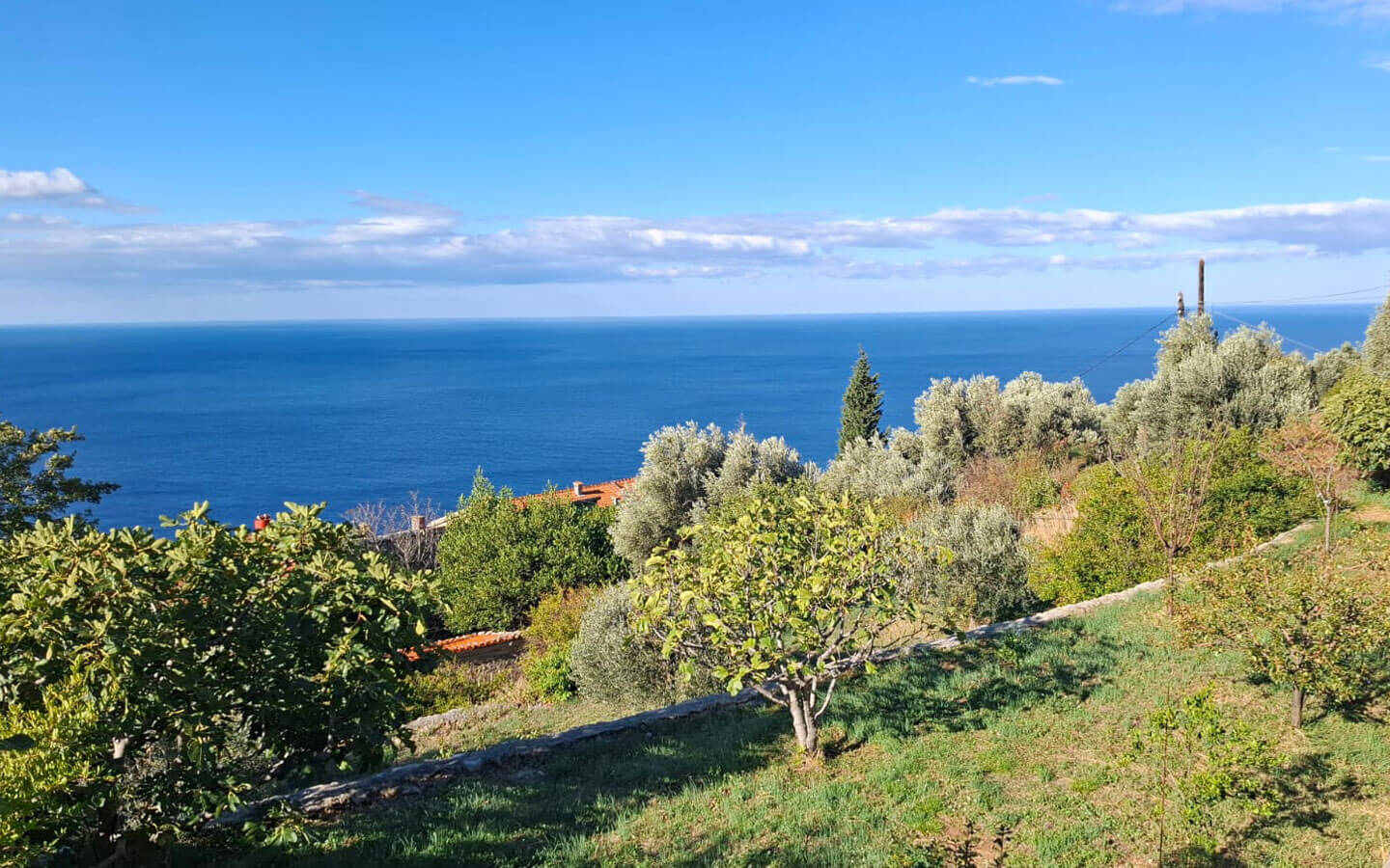 Authentic Stone Villa with Infinity Pool and Panoramic Sea Views image