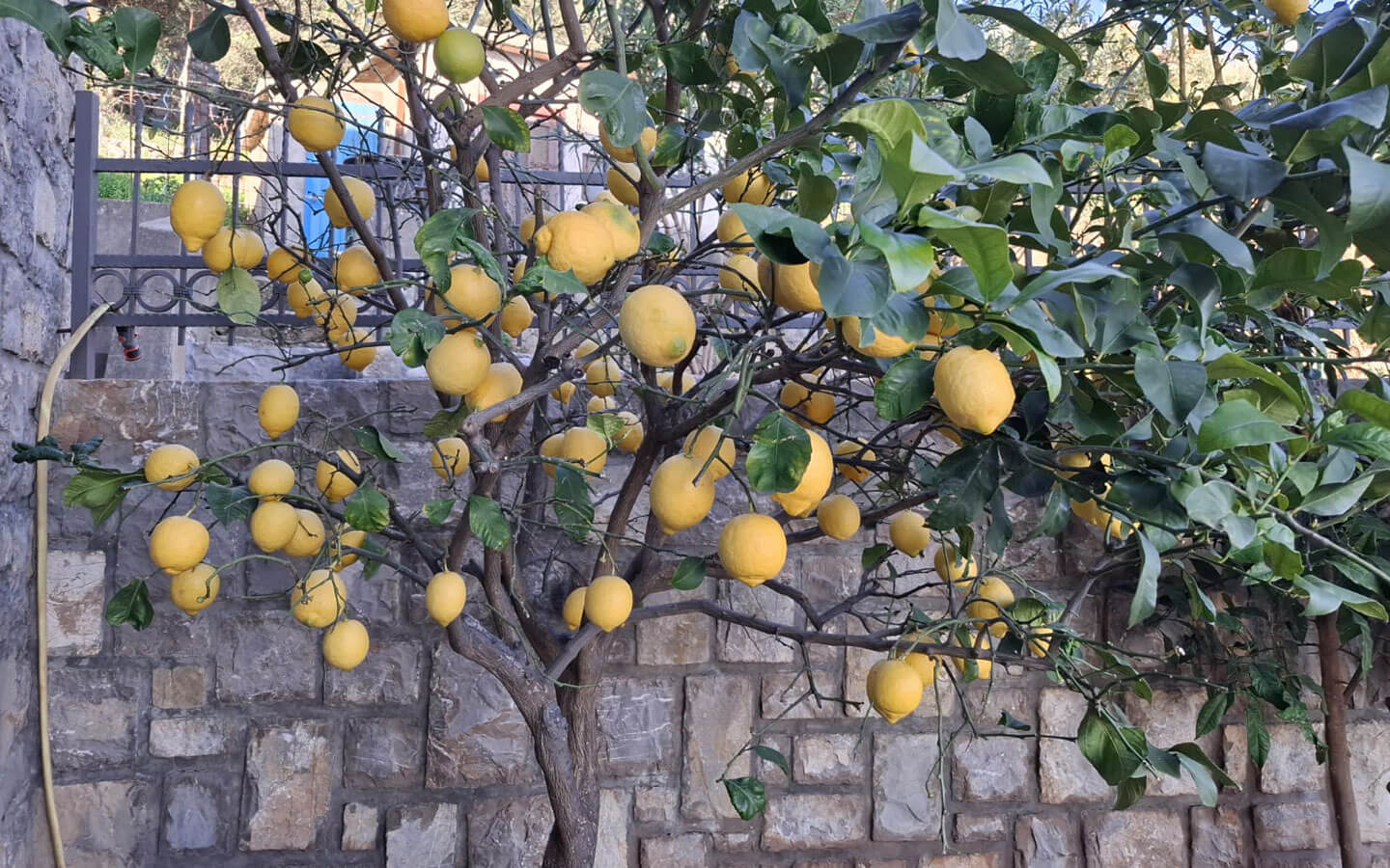 Authentic Stone Villa with Infinity Pool and Panoramic Sea Views image