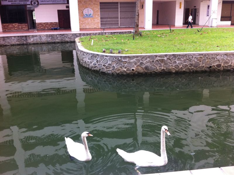 The Heritage Residences image