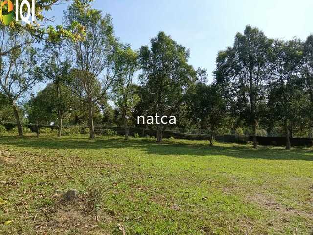 Established Business villa, farm and Land at Machap Melaka for Sale image