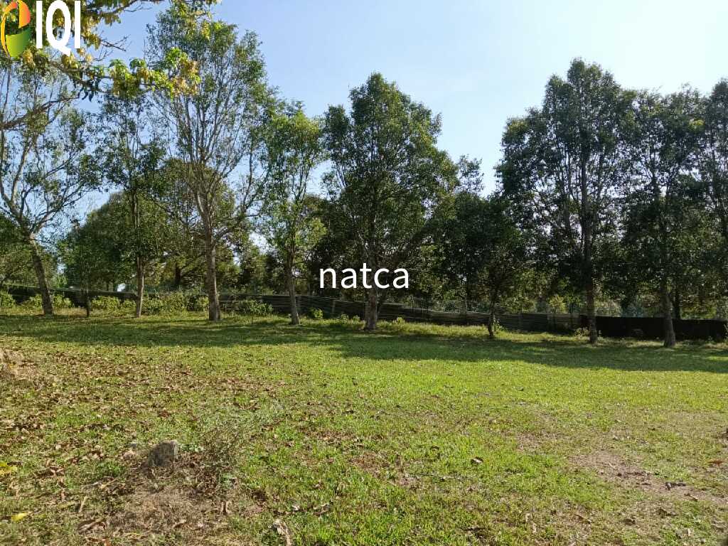 Established Business villa, farm and Land at Machap Melaka for Sale image