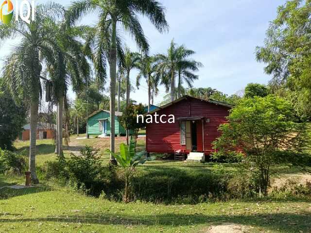 Established Business villa, farm and Land at Machap Melaka for Sale image