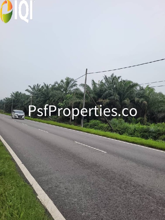 PARIT SULONG LOCAL COUNCIL image