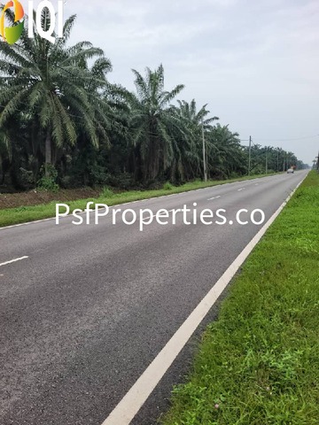 PARIT SULONG LOCAL COUNCIL photo