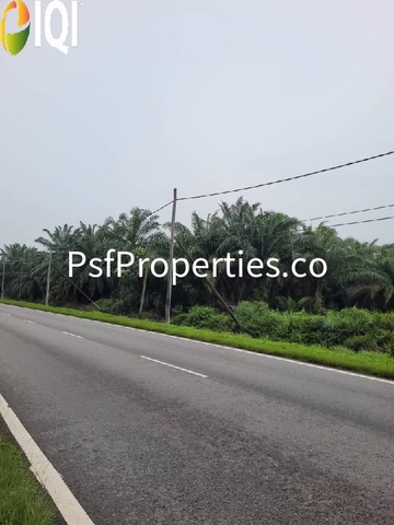 PARIT SULONG LOCAL COUNCIL image