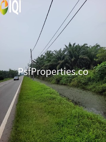 PARIT SULONG LOCAL COUNCIL image