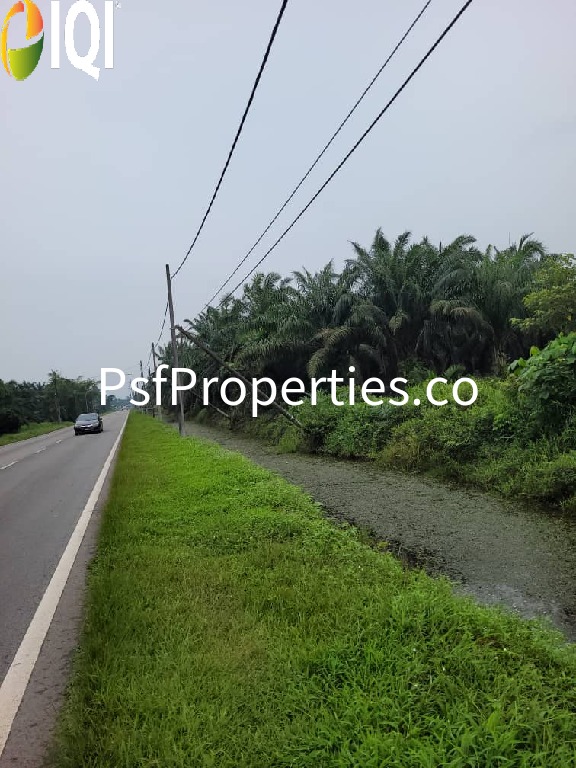 PARIT SULONG LOCAL COUNCIL image