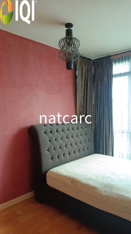 Solaris Dutamas image