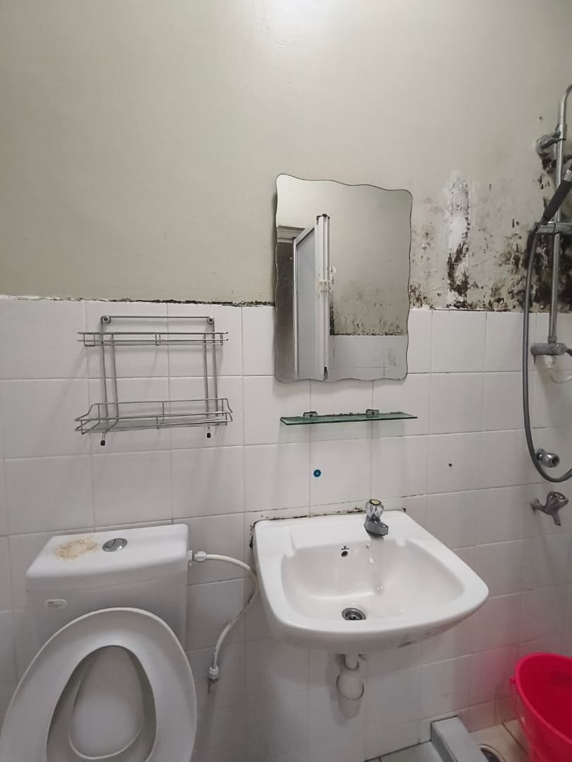 Beverly Hills 3 image