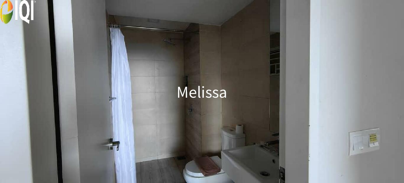 Windmill Upon Hills image