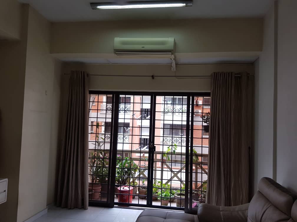 Evergreen Park Acorn and Hazel image