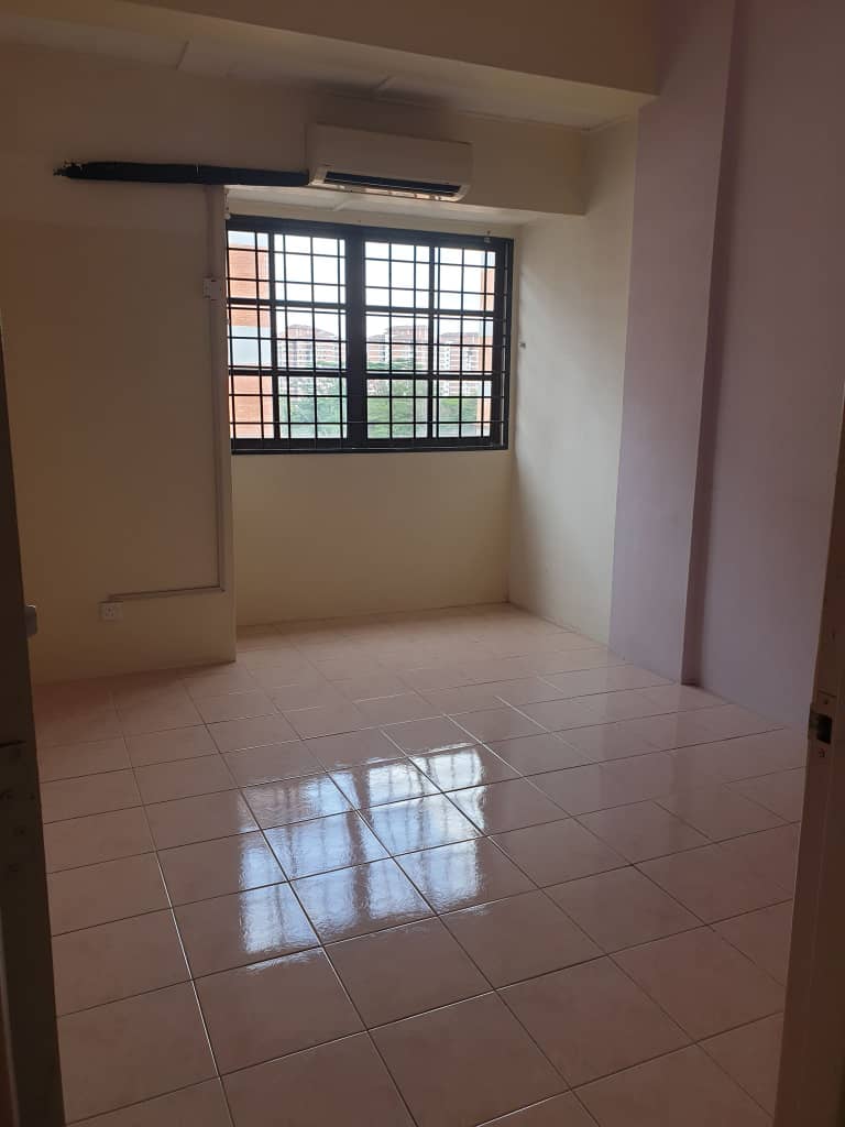 Evergreen Park Acorn and Hazel image