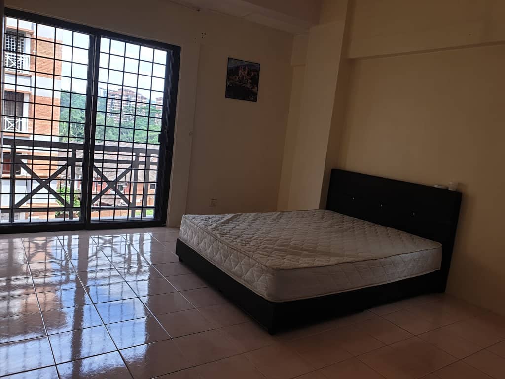 Evergreen Park Acorn and Hazel image