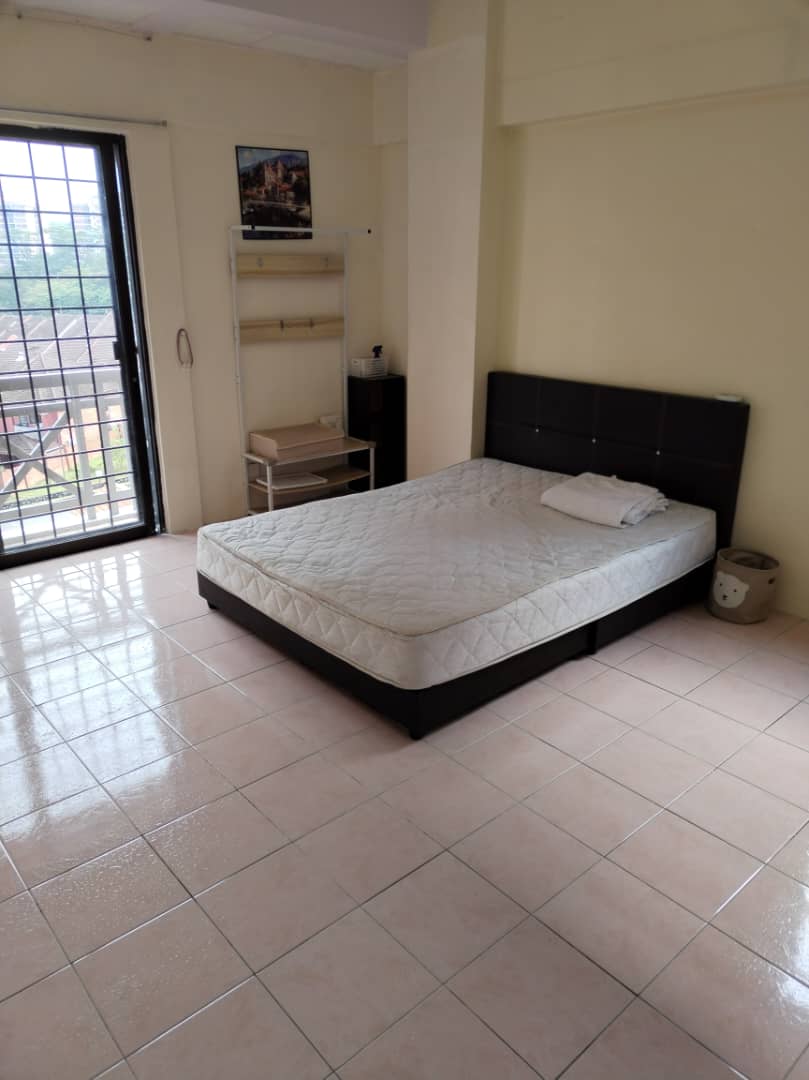 Evergreen Park Acorn and Hazel image